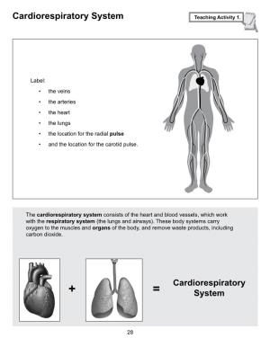 Cardiorespiratory System Teaching Activity 1