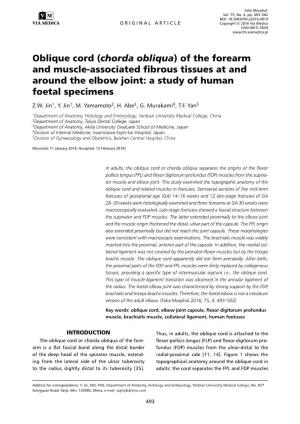 Oblique Cord (Chorda Obliqua) of the Forearm and Muscle-Associated Fibrous Tissues at and Around the Elbow Joint: a Study of Human Foetal Specimens Z.W