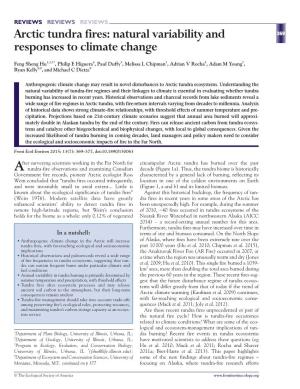 Arctic Tundra Fires: Natural Variability and Responses to Climate Change
