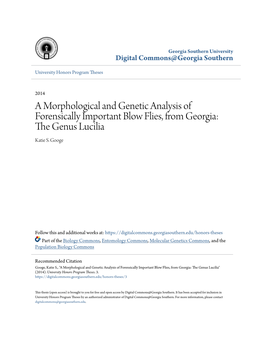 A Morphological and Genetic Analysis of Forensically Important Blow Flies, from Georgia: the Genus Lucilia Katie S