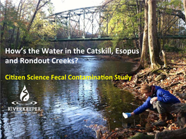 How's the Water in the Catskill, Esopus and Rondout Creeks?