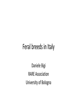 Feral Breeds in Italy