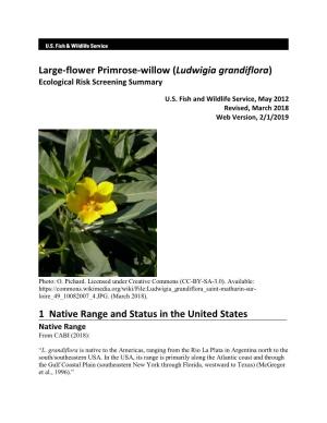 Ludwigia Grandiflora (Large-Flower Primrose-Willow) ERSS