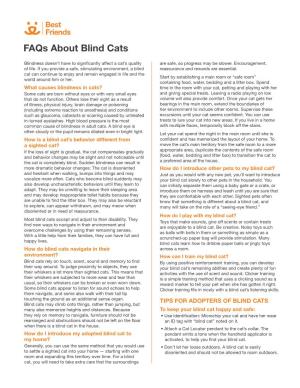 Faqs About Blind Cats