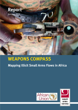 WEAPONS COMPASS Report