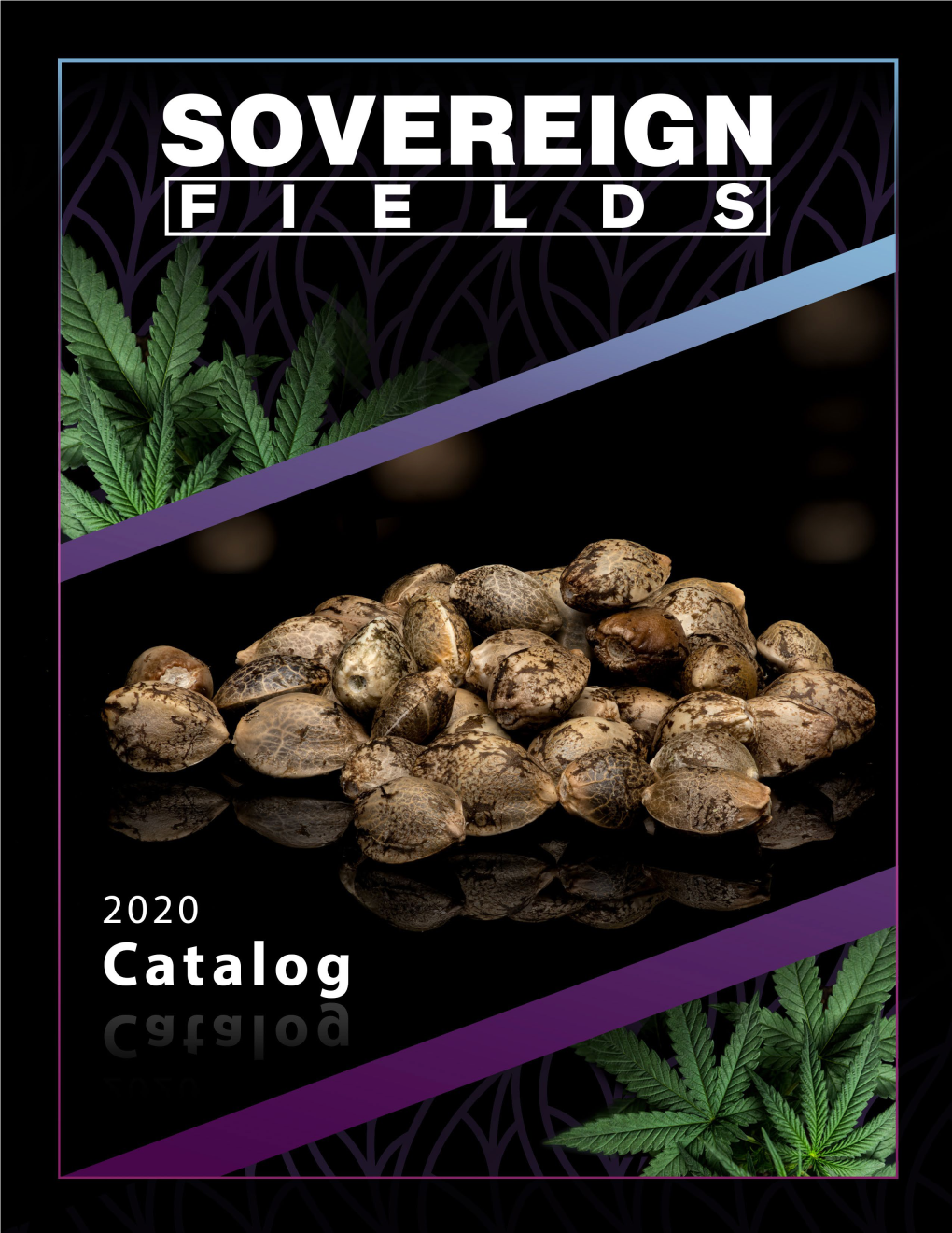 2020 Catalog