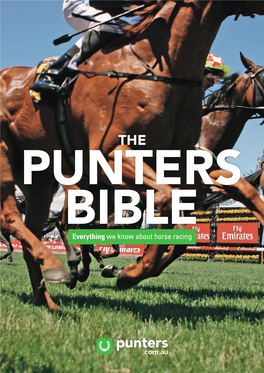 Everything We Know About Horse Racing Punters﻿ .Com.Au