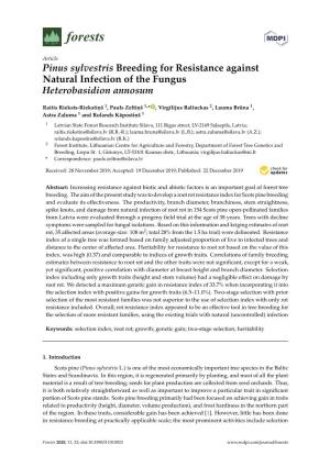 Pinus Sylvestris Breeding for Resistance Against Natural Infection of the Fungus Heterobasidion Annosum