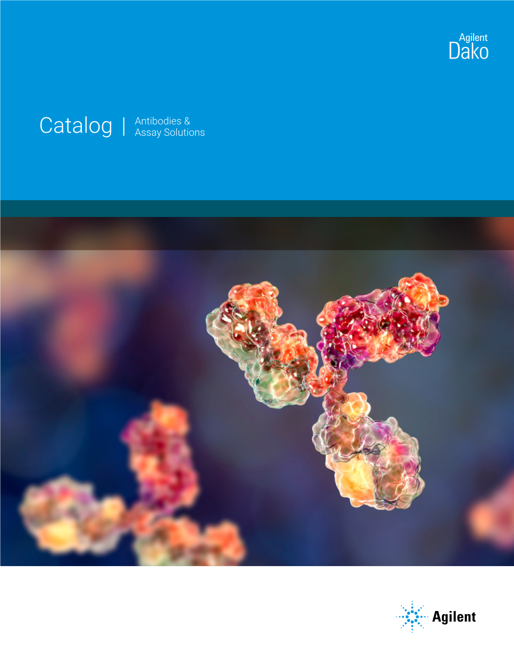 Catalog Antibodies & Assay Solutions