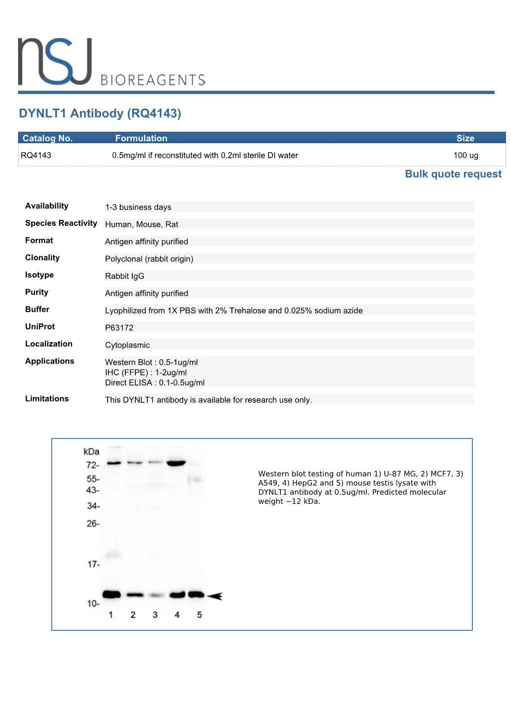 DYNLT1 Antibody (RQ4143)