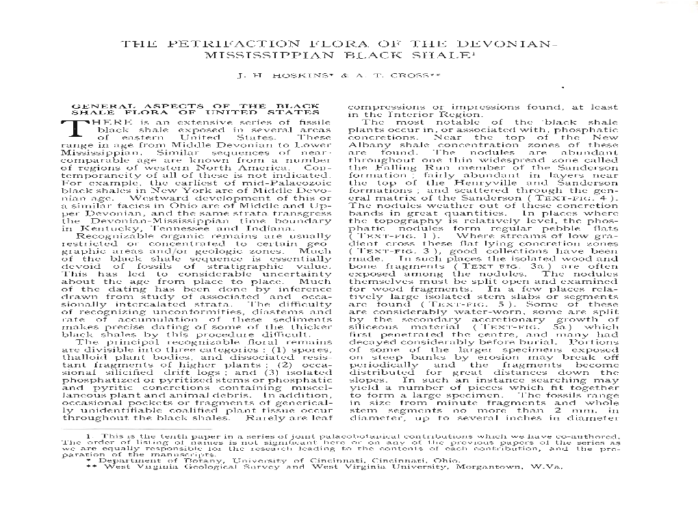 The Petrifaction Flora of the Devonian- Mississippian