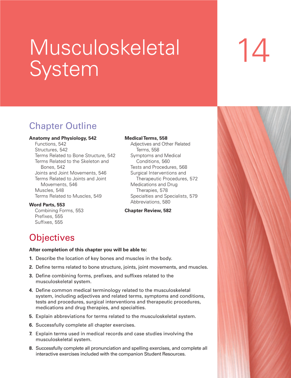 Musculoskeletal System