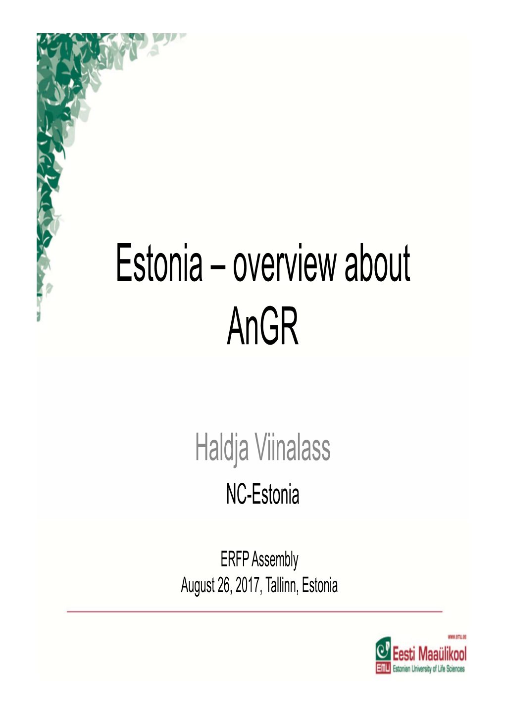 Estonia – Overview About Angr