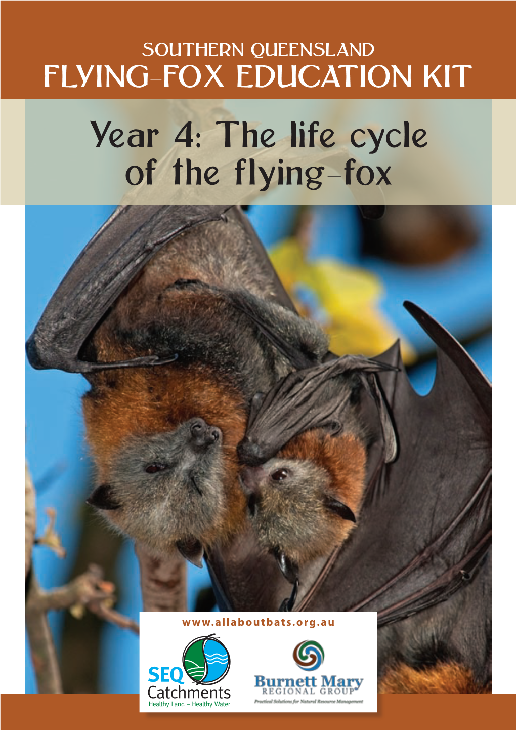 The Life Cycle of the Flying-Fox