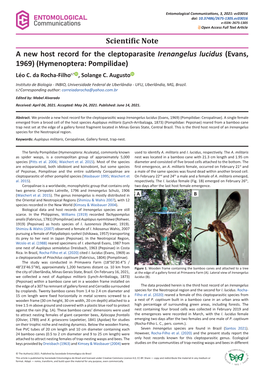 A New Host Record for the Cleptoparasite Irenangelus Lucidus (Evans, 1969) (Hymenoptera: Pompilidae) Léo C