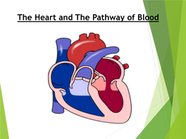 The Heart and the Pathway of Blood Powerpoint.Pdf