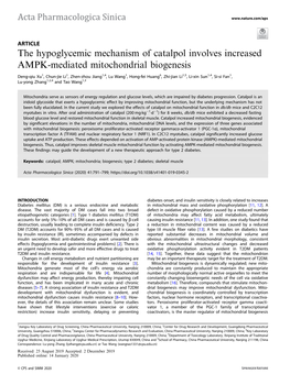 The Hypoglycemic Mechanism of Catalpol Involves Increased AMPK-Mediated Mitochondrial Biogenesis