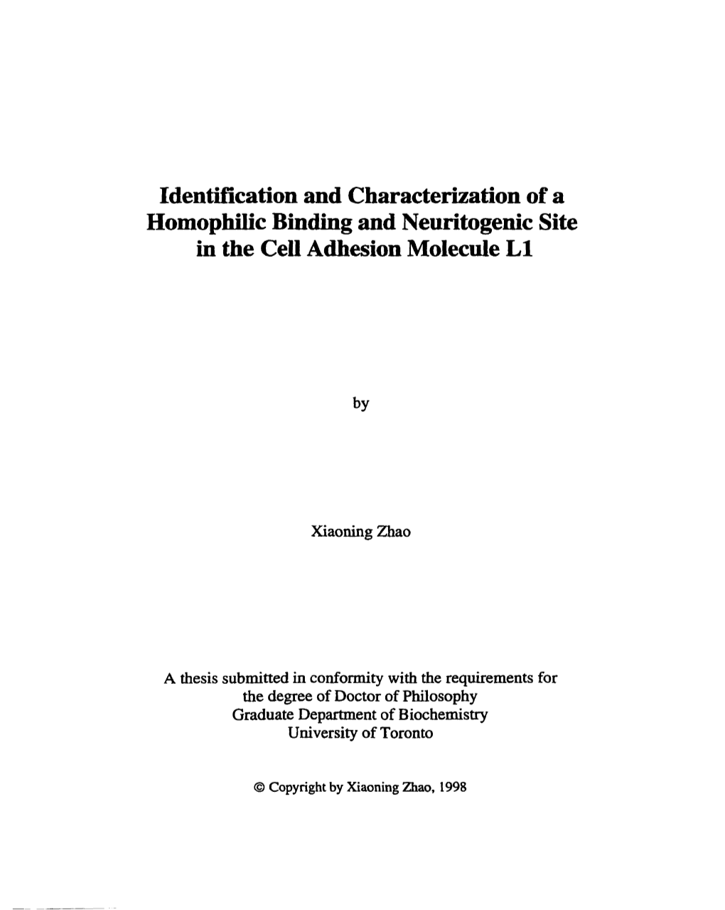 Identification and Characterization of a Homophilic Binding and Neuritogenic Site in the Cell Adhesion Molecule L1