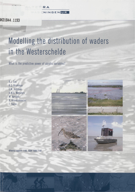 Modelling the Distribution of Waders in the Westerschelde