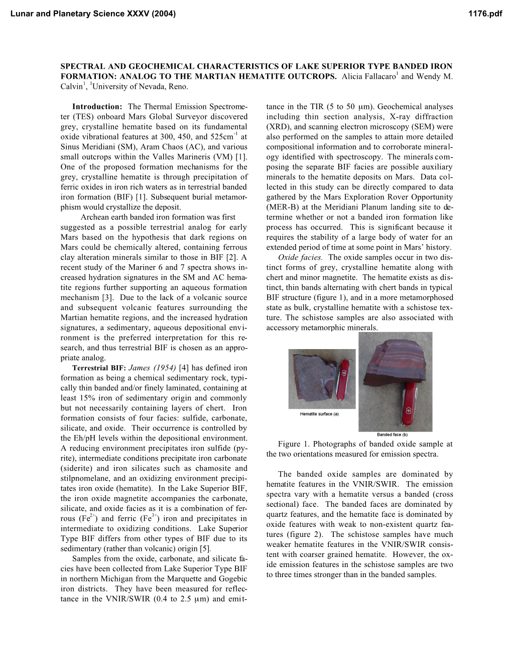 Spectral and Geochemical Characteristics of Lake Superior Type Banded Iron Formation: Analog to the Martian Hematite Outcrops