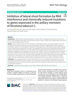 Inhibition of Lateral Shoot Formation by RNA Interference and Chemically Induced Mutations to Genes Expressed in the Axillary Meristem of Nicotiana Tabacum L