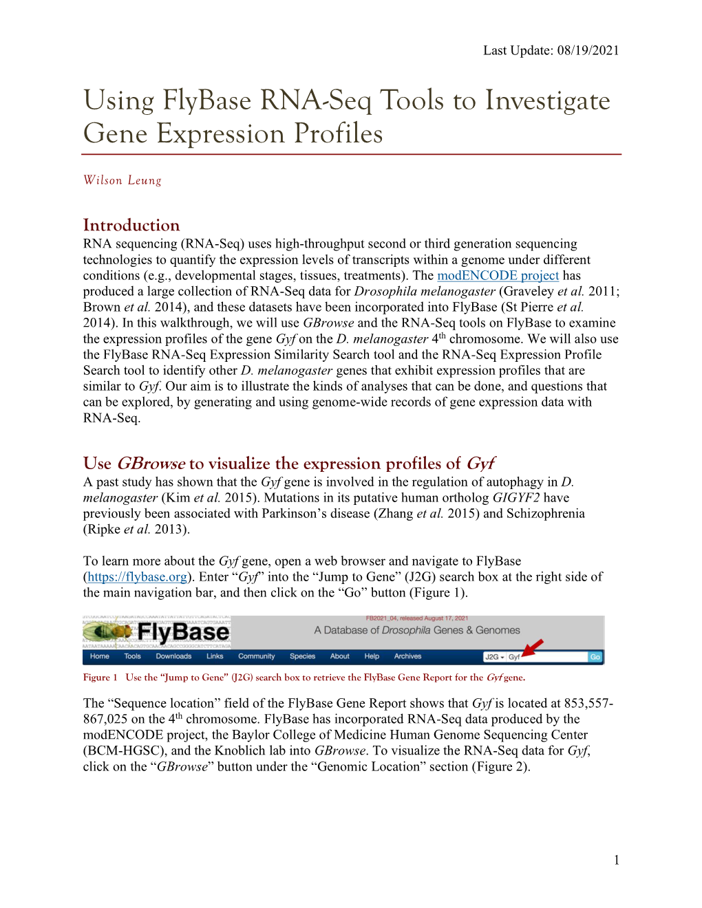 Using Flybase RNA-Seq Tools to Investigate Gene Expression Profiles