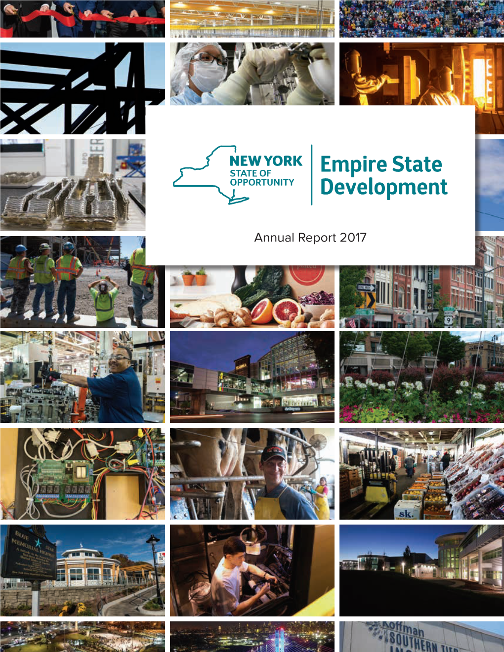 Annual Report 2017