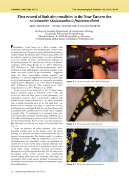 First Record of Limb Abnormalities in the Near Eastern Fire Salamander