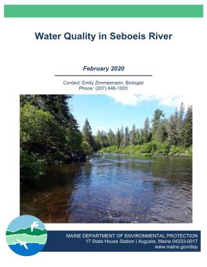 Water Quality in Seboeis River