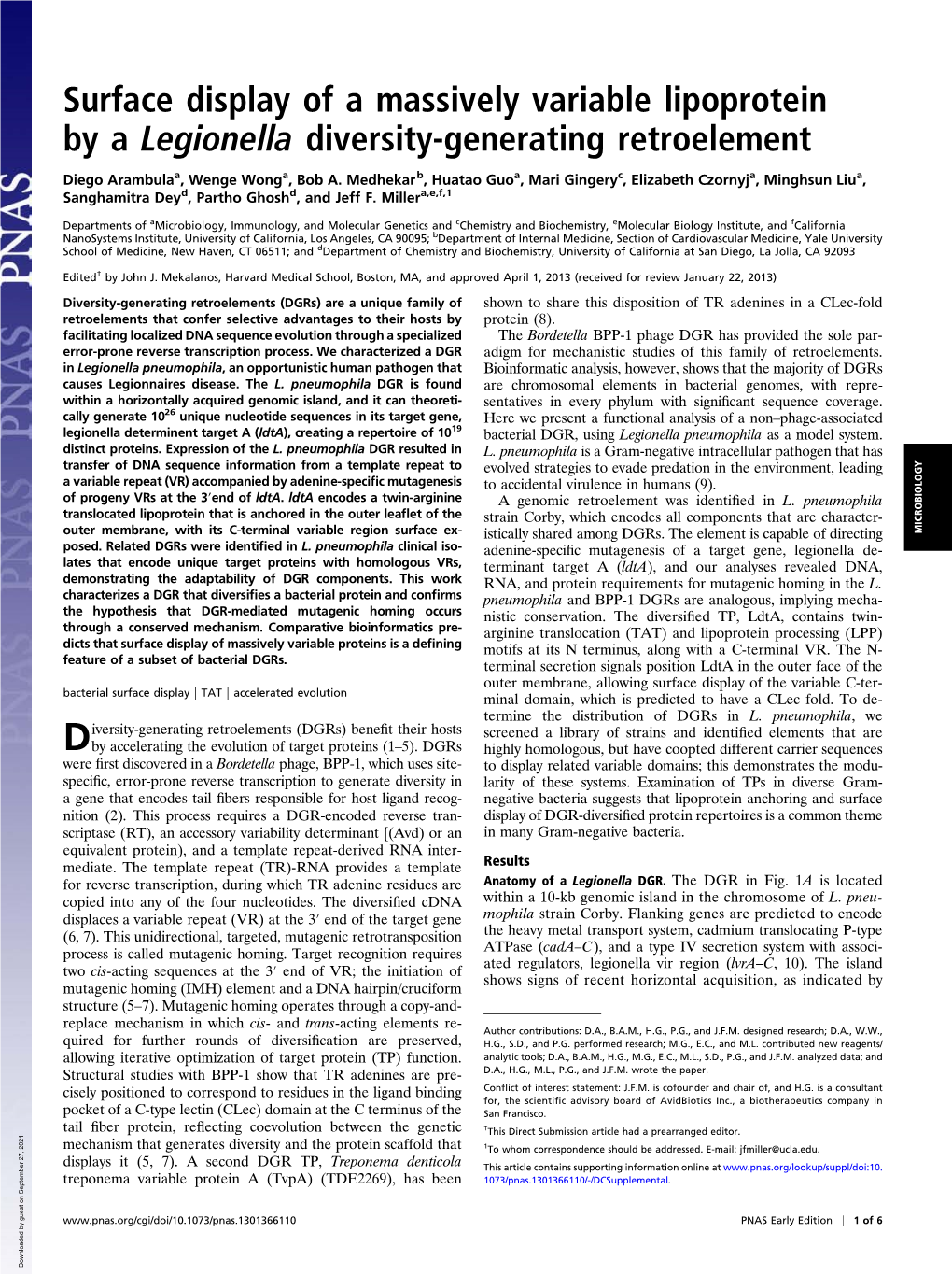 Surface Display of a Massively Variable Lipoprotein by a Legionella Diversity-Generating Retroelement