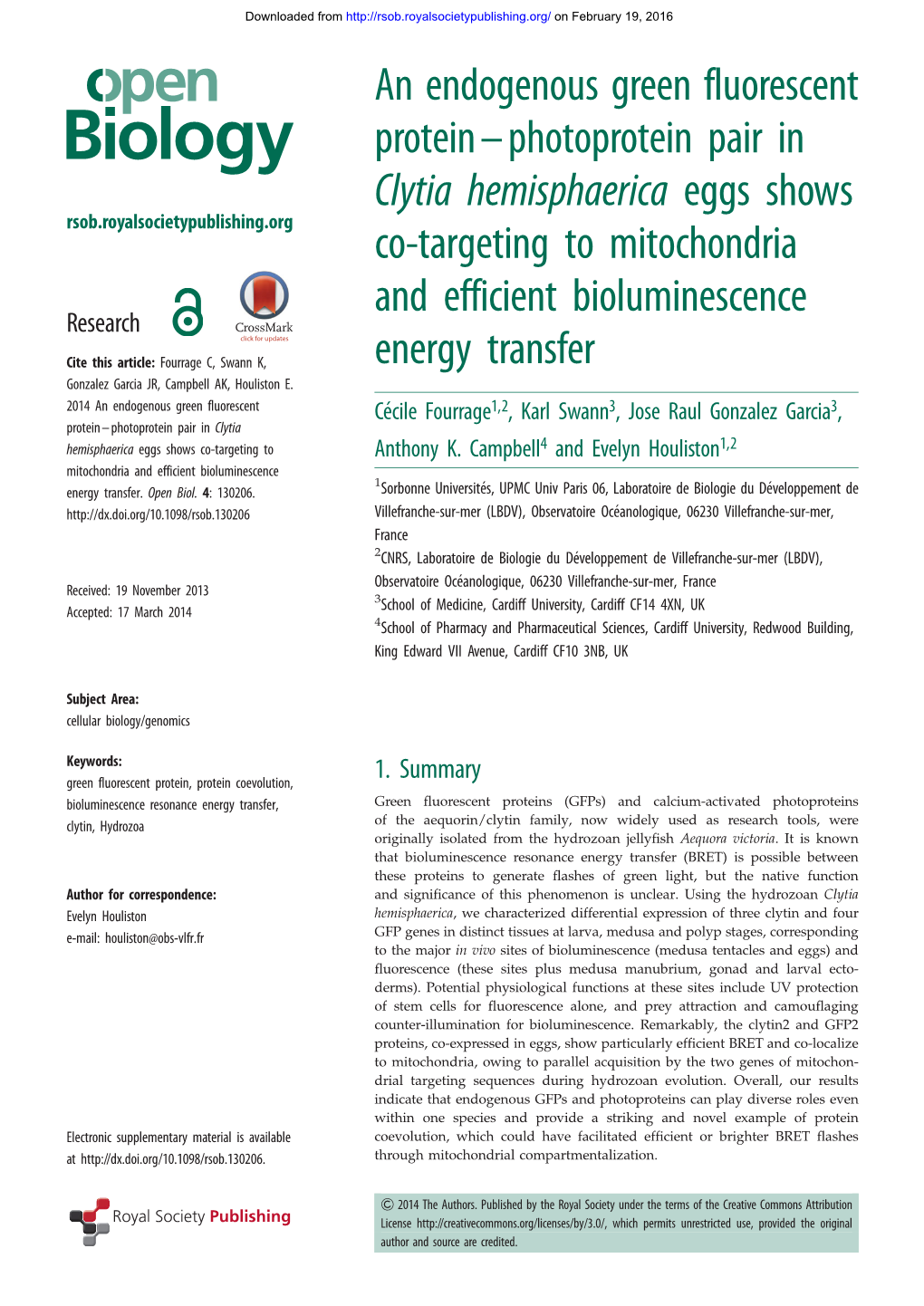 An Endogenous Green Fluorescent Protein–Photoprotein Pair in Clytia