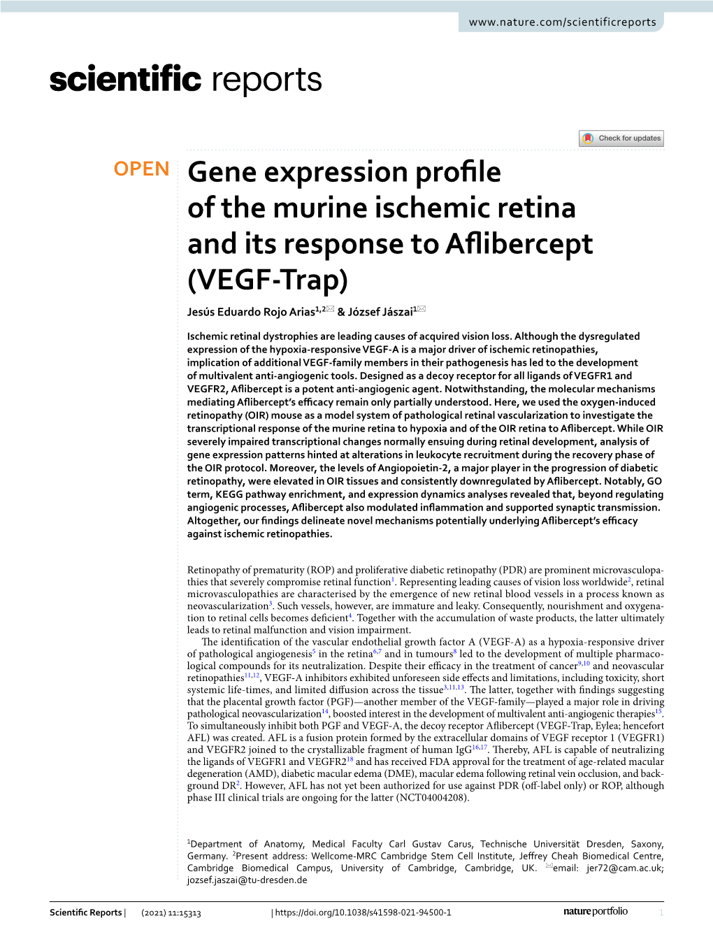 Gene Expression Profile of the Murine Ischemic Retina and Its Response To