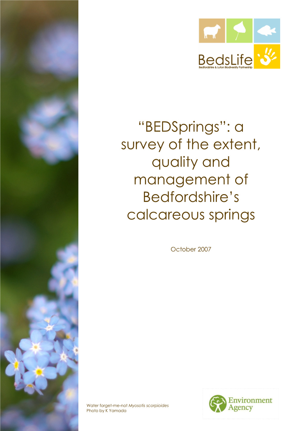 “Bedsprings”: a Survey of the Extent, Quality and Management Of