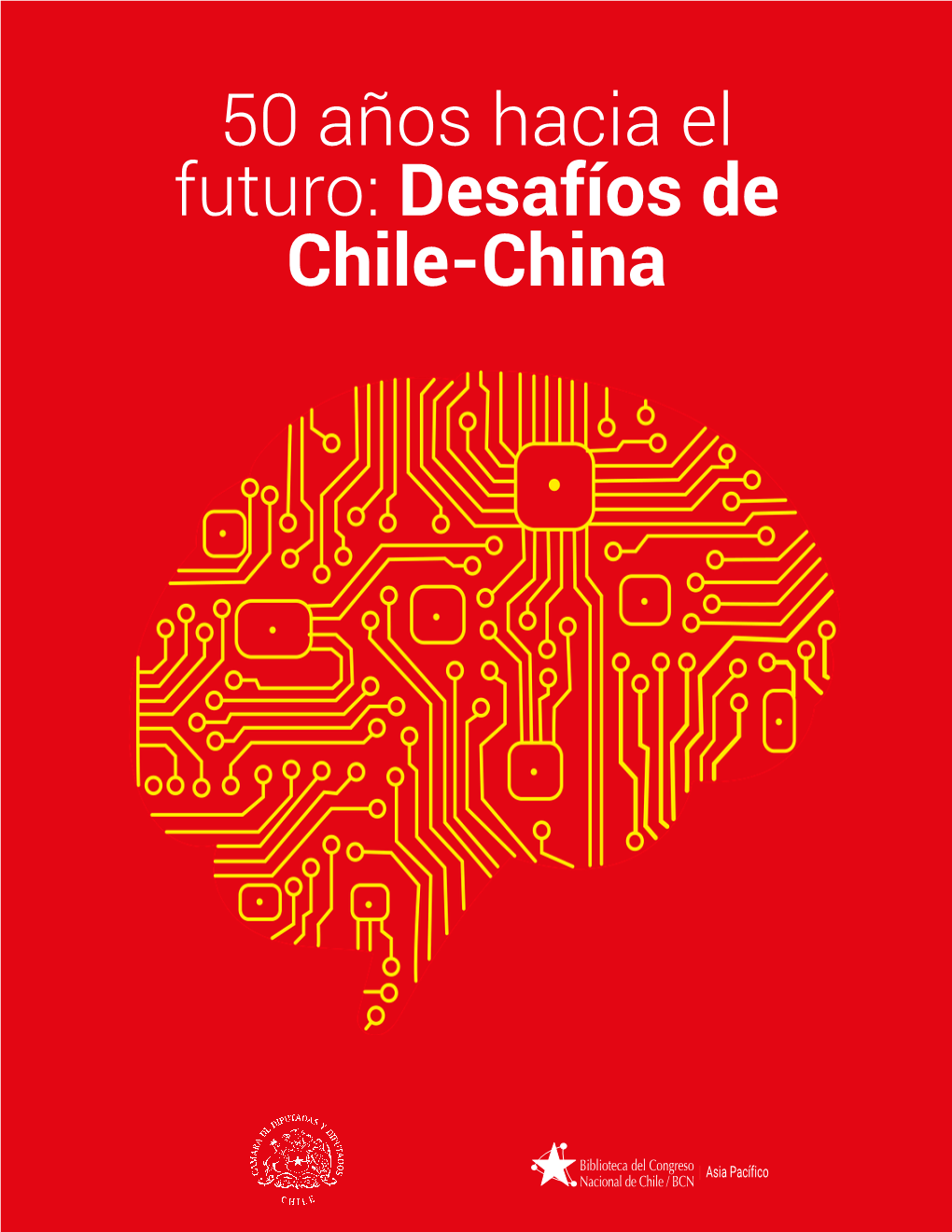 Desafíos De Chile-China