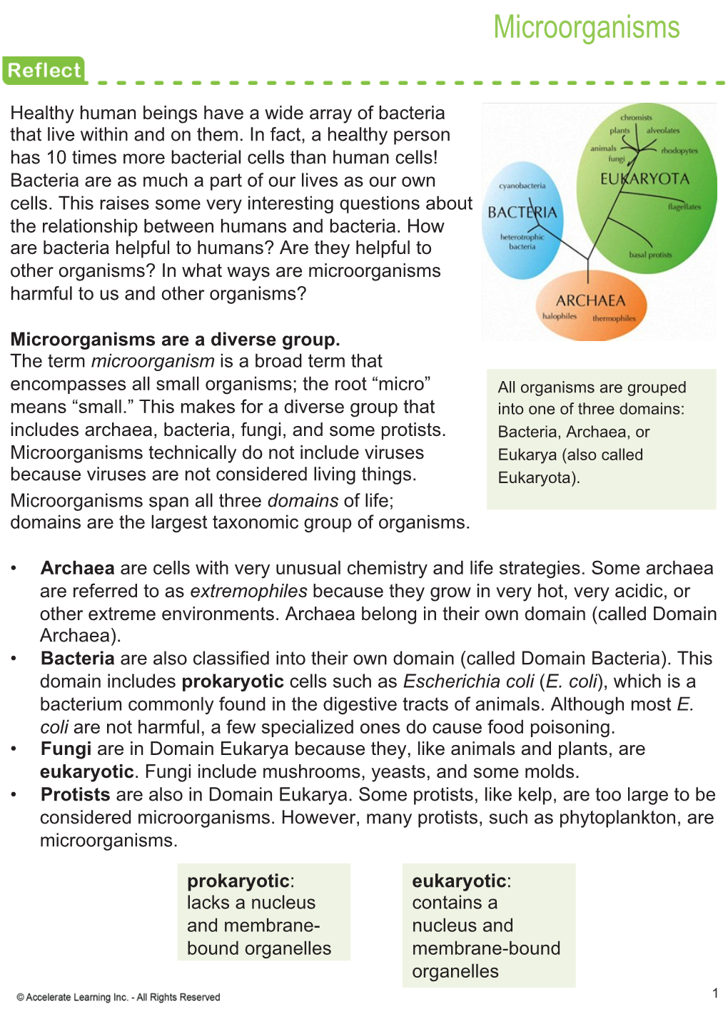 Microorganisms