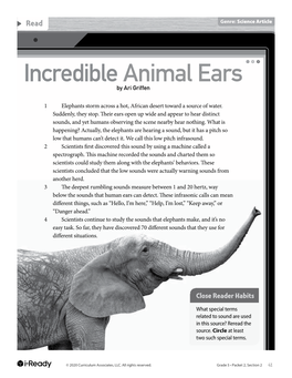 Animal Sounds Incredible Animal Ears by Ari Griffen