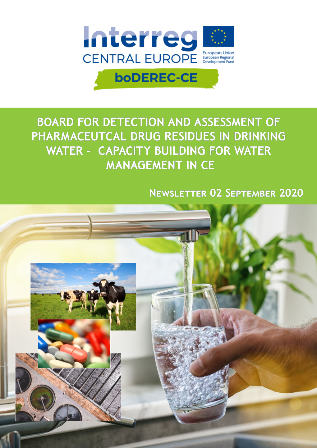 Board for Detection and Assessment of Pharmaceutcal Drug Residues in Drinking Water - Capacity Building for Water Management in Ce
