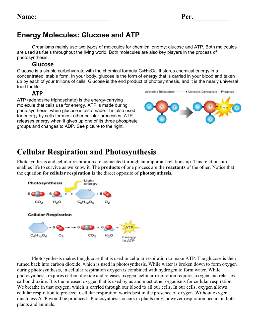 Cellular Respiration and Photosynthesis Photosynthesis and Cellular Respiration Are Connected Through an Important Relationship