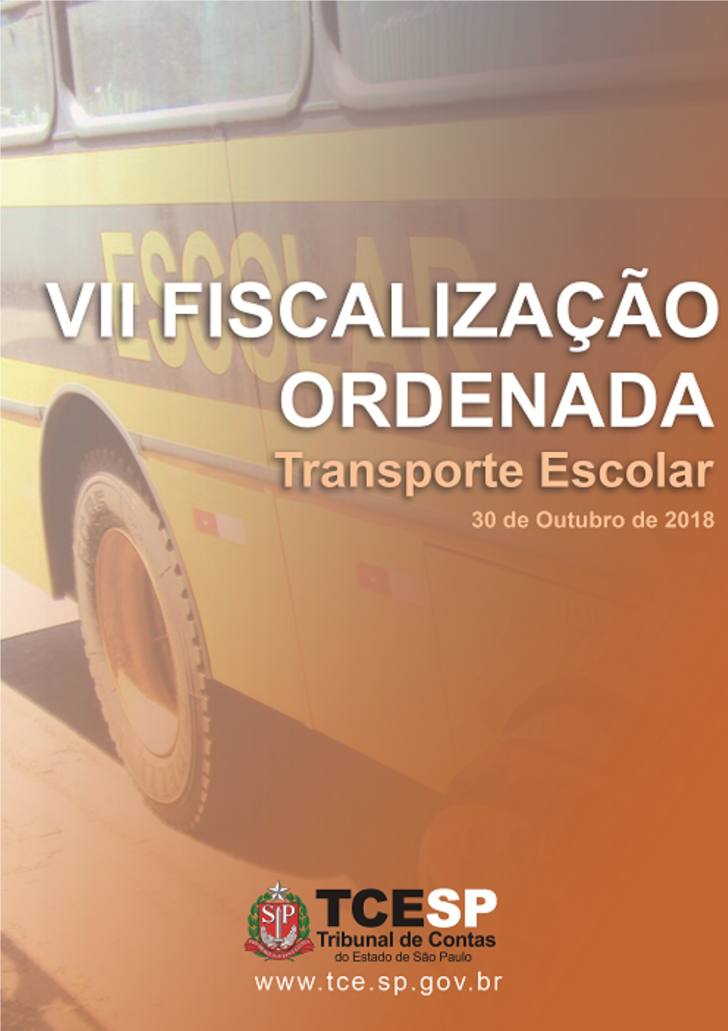 Relatório Fiscalização TCESP Transporte Escolar 2018