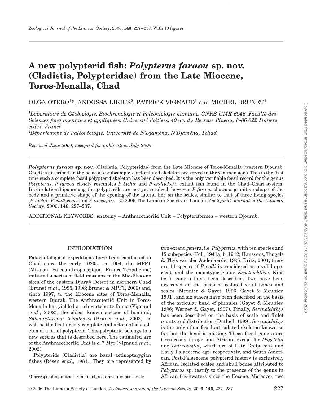 A New Polypterid Fish: Polypterus Faraou Sp. Nov. (Cladistia