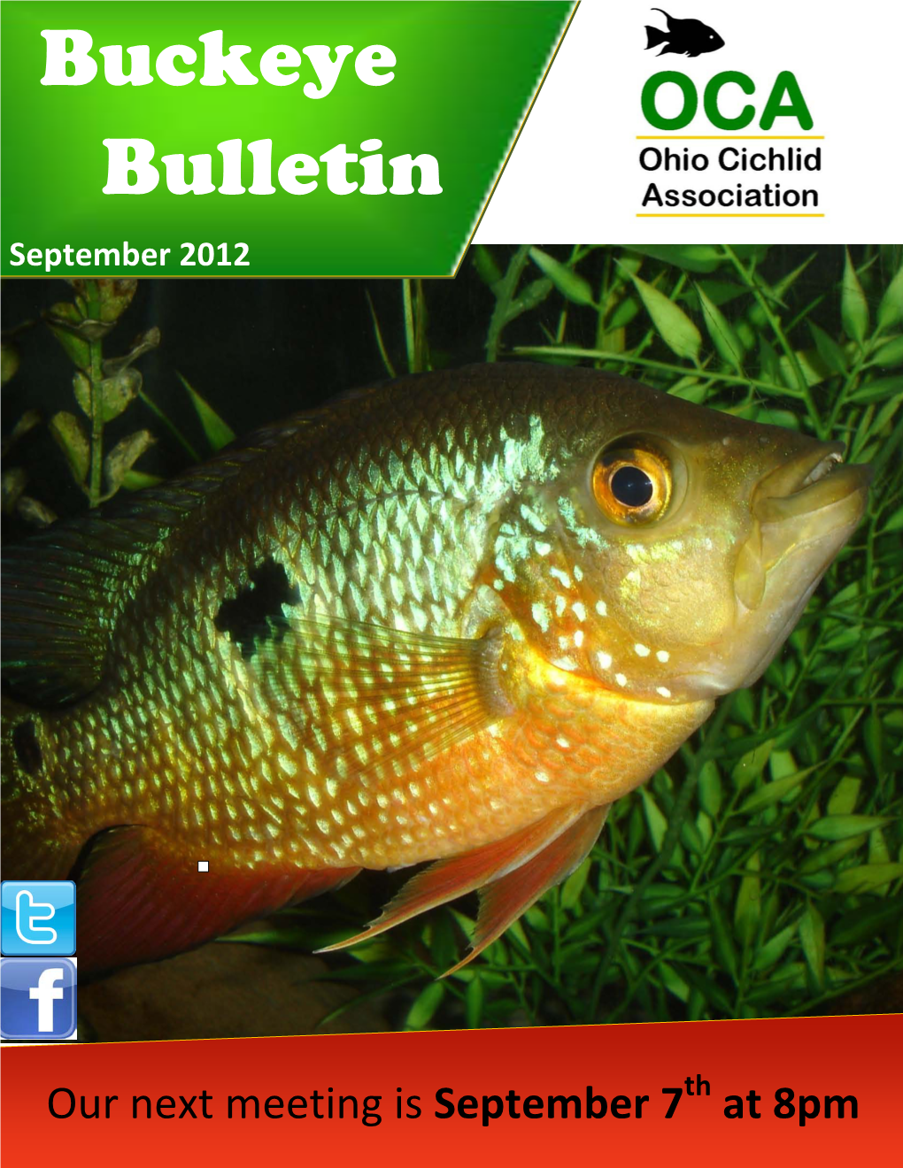 Buckeye Bulletin Staff Jonathan Dietrich Editor Cover Photo Was Taken by Jombie