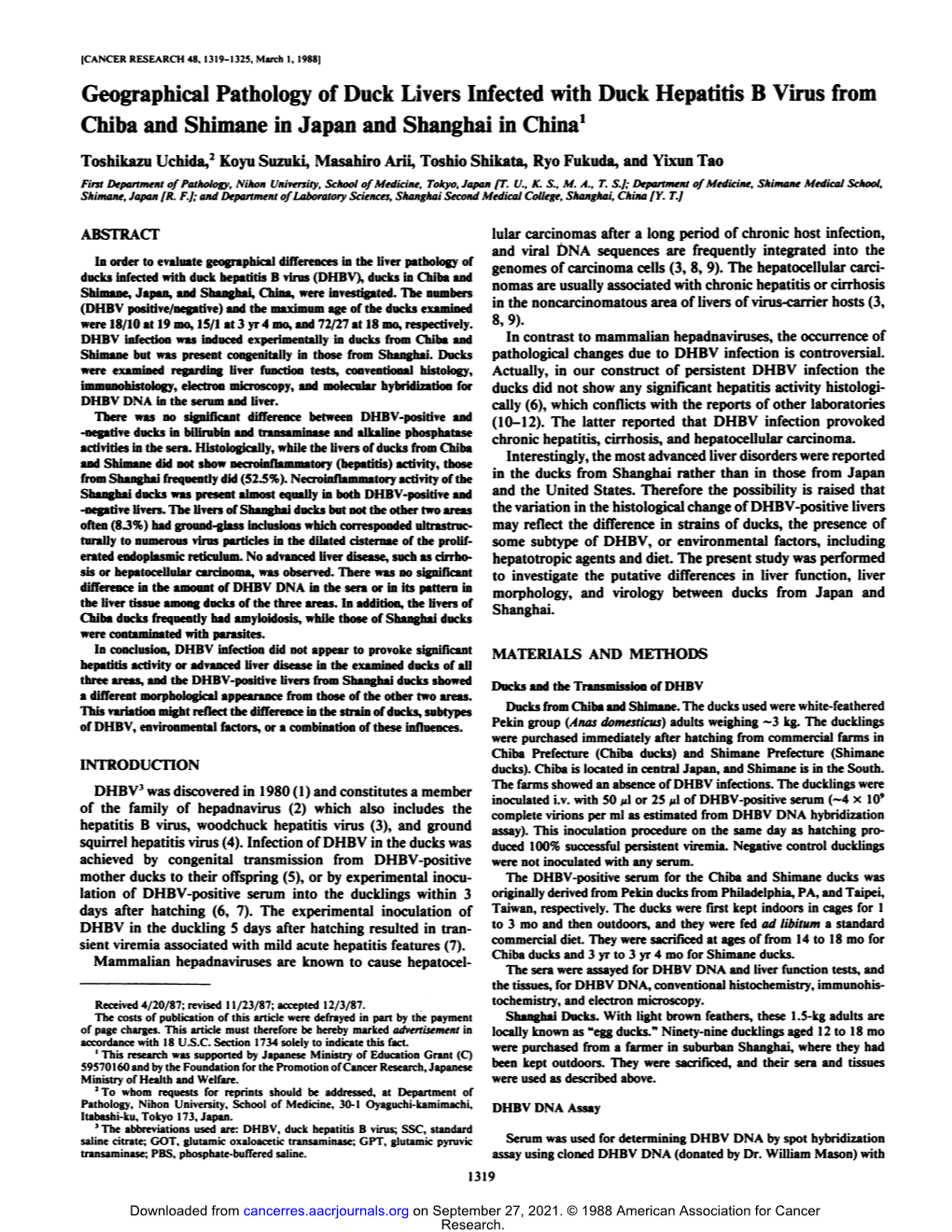 Geographical Pathology of Duck Livers Infected with Duck Hepatitis B Virus from Chiba and Shimane in Japan and Shanghai in China'