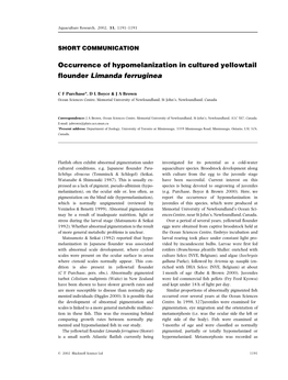Occurrence of Hypomelanization in Cultured Yellowtail Flounder Limanda Ferruginea