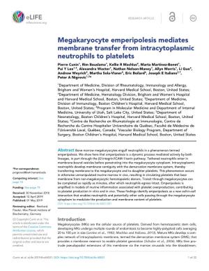 Megakaryocyte Emperipolesis Mediates Membrane Transfer from Intracytoplasmic Neutrophils to Platelets