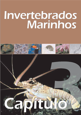 Invertebrados Marinhos