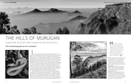 The Hills of Murugan