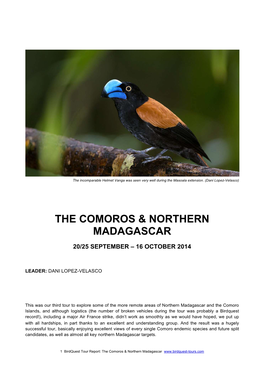 The Comoros & Northern Madagascar