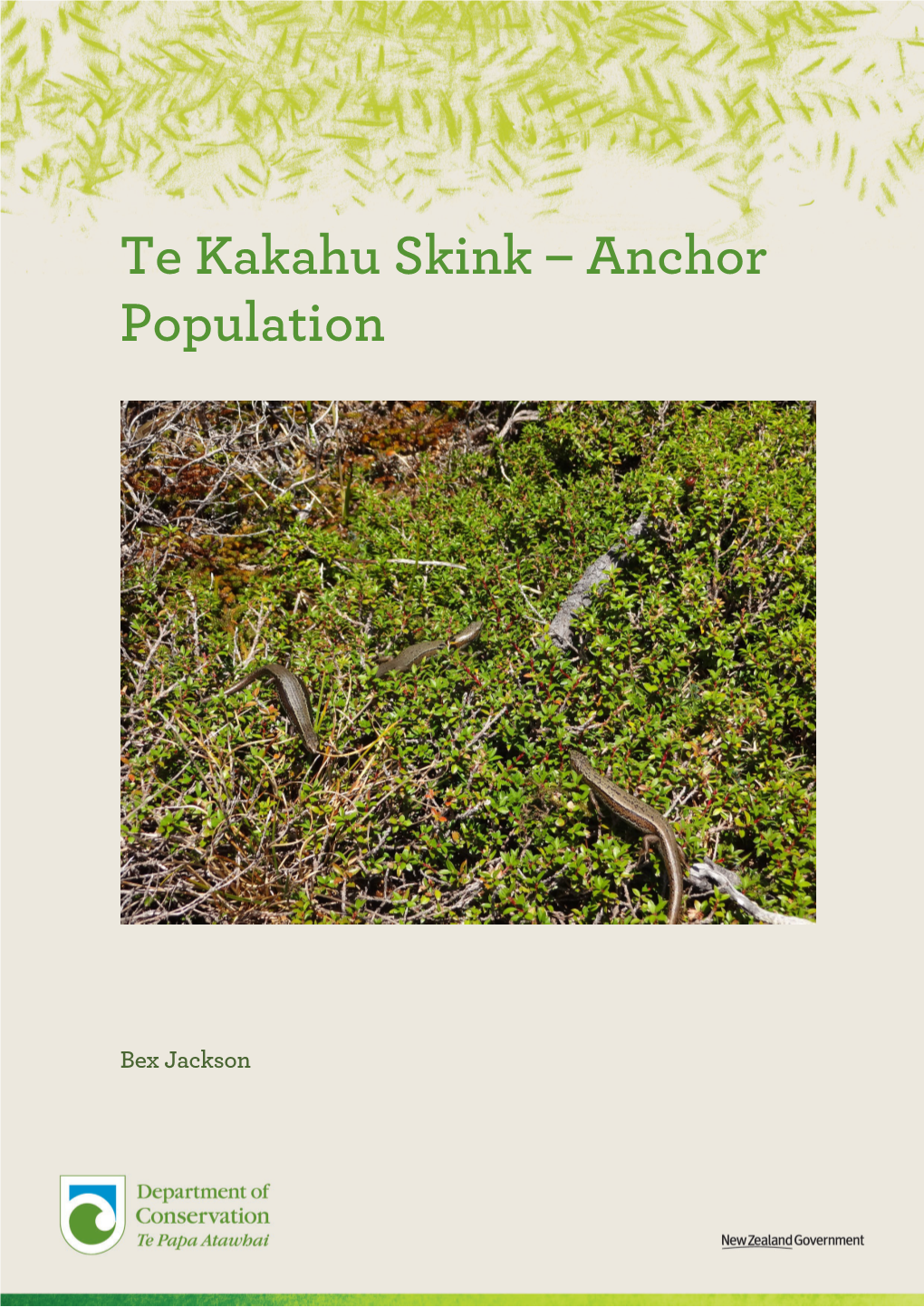 Te Kakahu Skink – Anchor Population