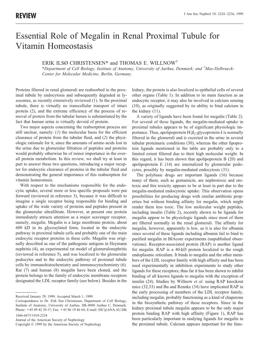 Essential Role of Megalin in Renal Proximal Tubule for Vitamin Homeostasis