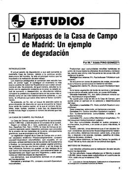 1 Mariposas De La Casa De Campo De Madrid: Un Ejemplo De Degradación
